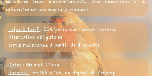 Sortie oiseaux - Sortie nature Zecamp