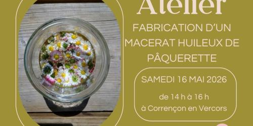 Atelier fabrication d'un macérat huileux de pâquerette