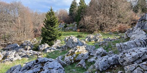 plateau du Sornin