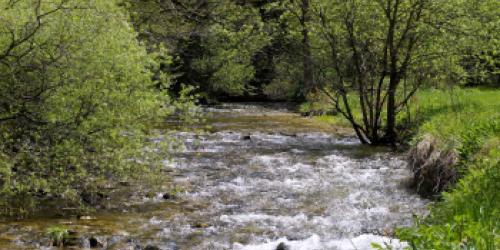 L'eau, un bien précieux