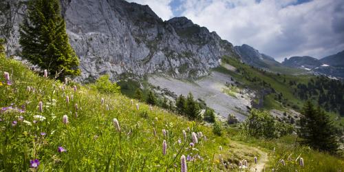 Paysage Vercors