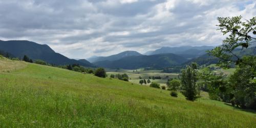 Pour une gestion durable de l’agriculture et de la forêt